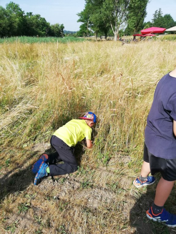 Grossansicht in neuem Fenster: 20.06.2023: Dorfwiesentag in den Rottauen in Pfarrkirchen
