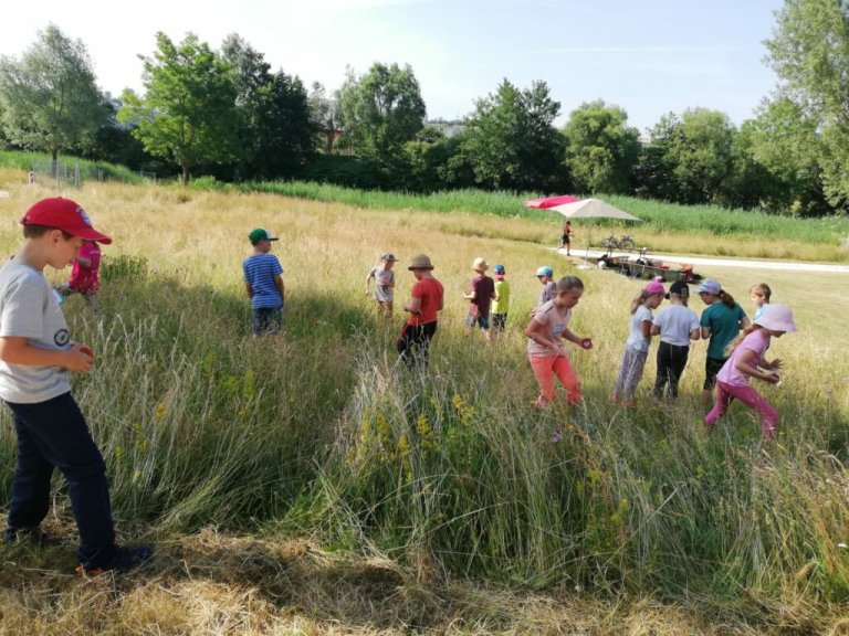 Grossansicht in neuem Fenster: 20.06.2023: Dorfwiesentag in den Rottauen in Pfarrkirchen