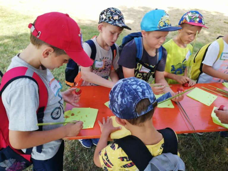 Grossansicht in neuem Fenster: 20.06.2023: Dorfwiesentag in den Rottauen in Pfarrkirchen