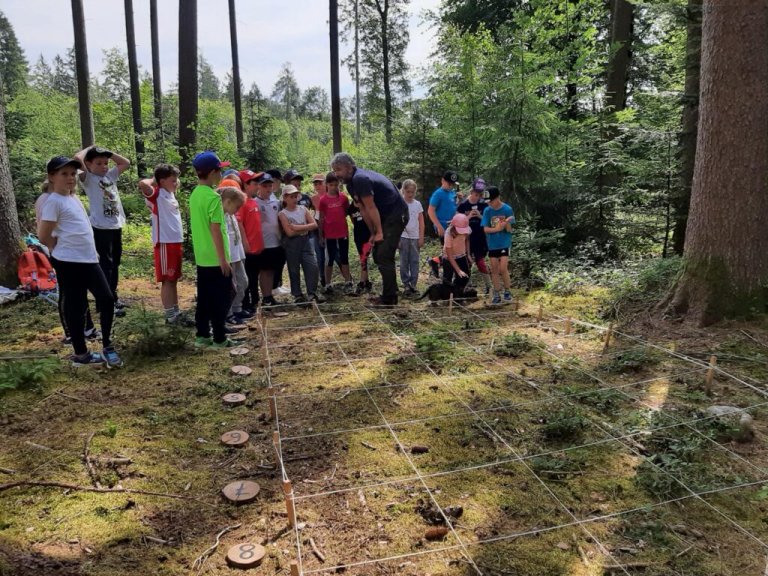 Grossansicht in neuem Fenster: 20.06.2023 Waldjugendspiele Grossansicht in neuem Fenster: 20.06.2023 Waldjugendspiele