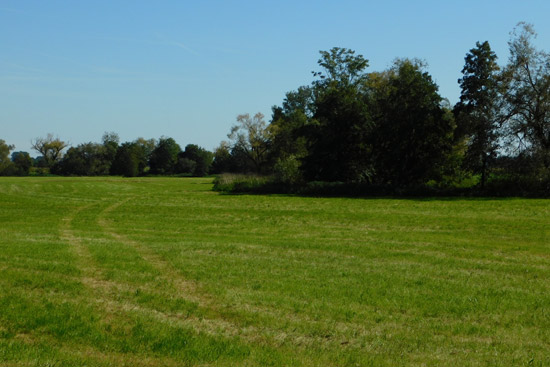 Grossansicht in neuem Fenster: A3 • Kronwittberg - Wegbeschreibung Bild 4 - Kollbachwiesen Grossansicht in neuem Fenster: A3 • Kronwittberg - Wegbeschreibung Bild 4 - Kollbachwiesen