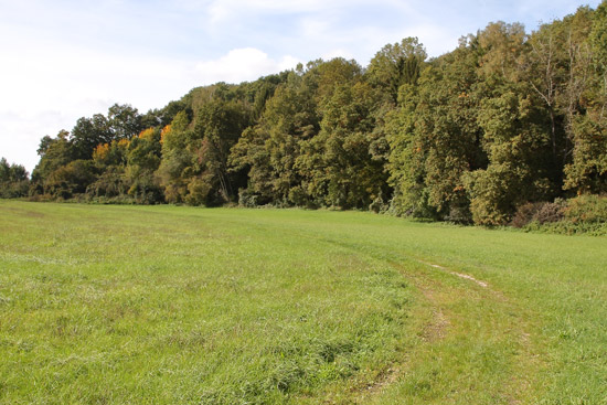Grossansicht in neuem Fenster: A3 • Kronwittberg - Wegbeschreibung Bild 5 - Wiesenweg Grossansicht in neuem Fenster: A3 • Kronwittberg - Wegbeschreibung Bild 5 - Wiesenweg