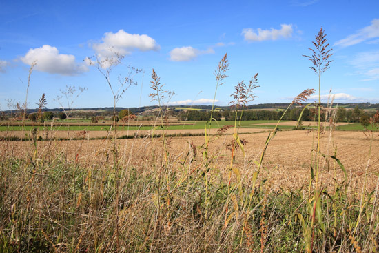 Grossansicht in neuem Fenster: A3 • Kronwittberg - Wegbeschreibung Bild 9 - Vilstal Grossansicht in neuem Fenster: A3 • Kronwittberg - Wegbeschreibung Bild 9 - Vilstal