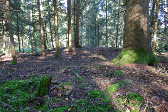 Grossansicht in neuem Fenster: A3 • Kronwittberg - Wegbeschreibung Bild 11 - Hügelgräber Grossansicht in neuem Fenster: A3 • Kronwittberg - Wegbeschreibung Bild 11 - Hügelgräber