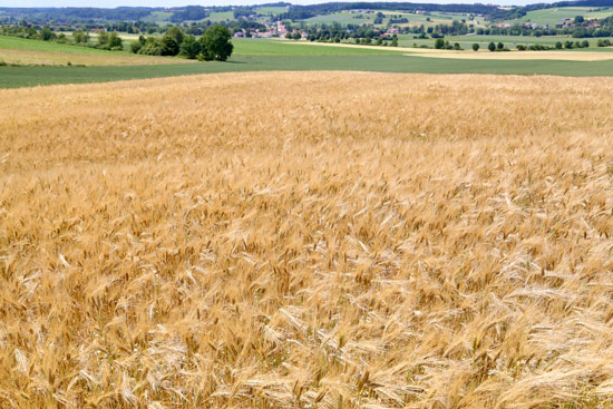 Grossansicht in neuem Fenster: A2 • Höhenweg Haida - Ausblick 1 Grossansicht in neuem Fenster: A2 • Höhenweg Haida - Ausblick 1