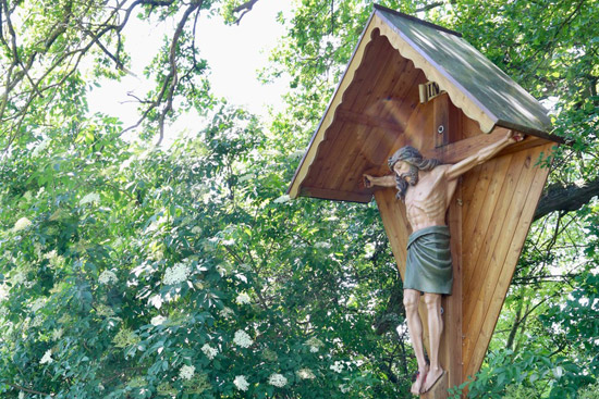 Grossansicht in neuem Fenster: A2 • Höhenweg Haida - Viehauserkreuz Grossansicht in neuem Fenster: A2 • Höhenweg Haida - Viehauserkreuz