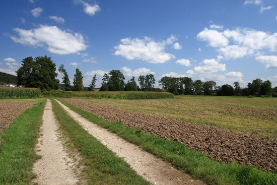 Grossansicht in neuem Fenster: A2 • Höhenweg Haida - Feldweg zum Altwasser Grossansicht in neuem Fenster: A2 • Höhenweg Haida - Feldweg zum Altwasser