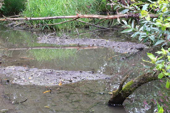 Grossansicht in neuem Fenster: A2 • Höhenweg Haida - Altwasser Grossansicht in neuem Fenster: A2 • Höhenweg Haida - Altwasser