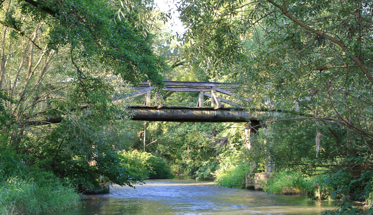 Themenlogo Kursleiter Themenlogo Kursleiter