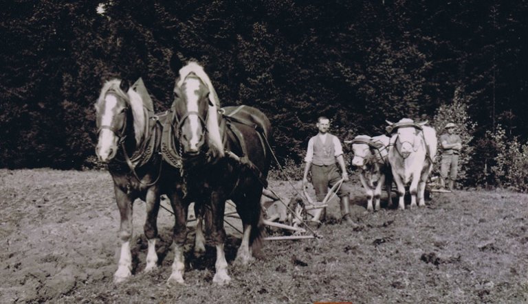Landwirtschaft in Roßbach