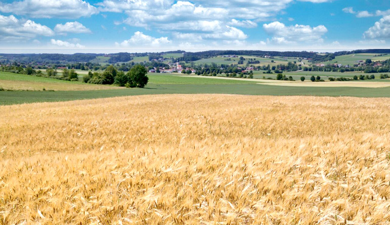 Projekt Naturerlebnis Roßbach Projekt Naturerlebnis Roßbach