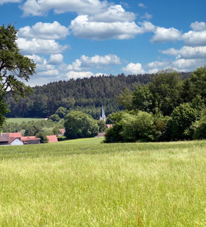 Grossansicht in neuem Fenster: Ökologische Kleinode im Gemeindegebiet Roßbach Grossansicht in neuem Fenster: Ökologische Kleinode im Gemeindegebiet Roßbach
