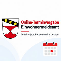 Online-Terminbuchung 1-1