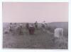 Bild 28